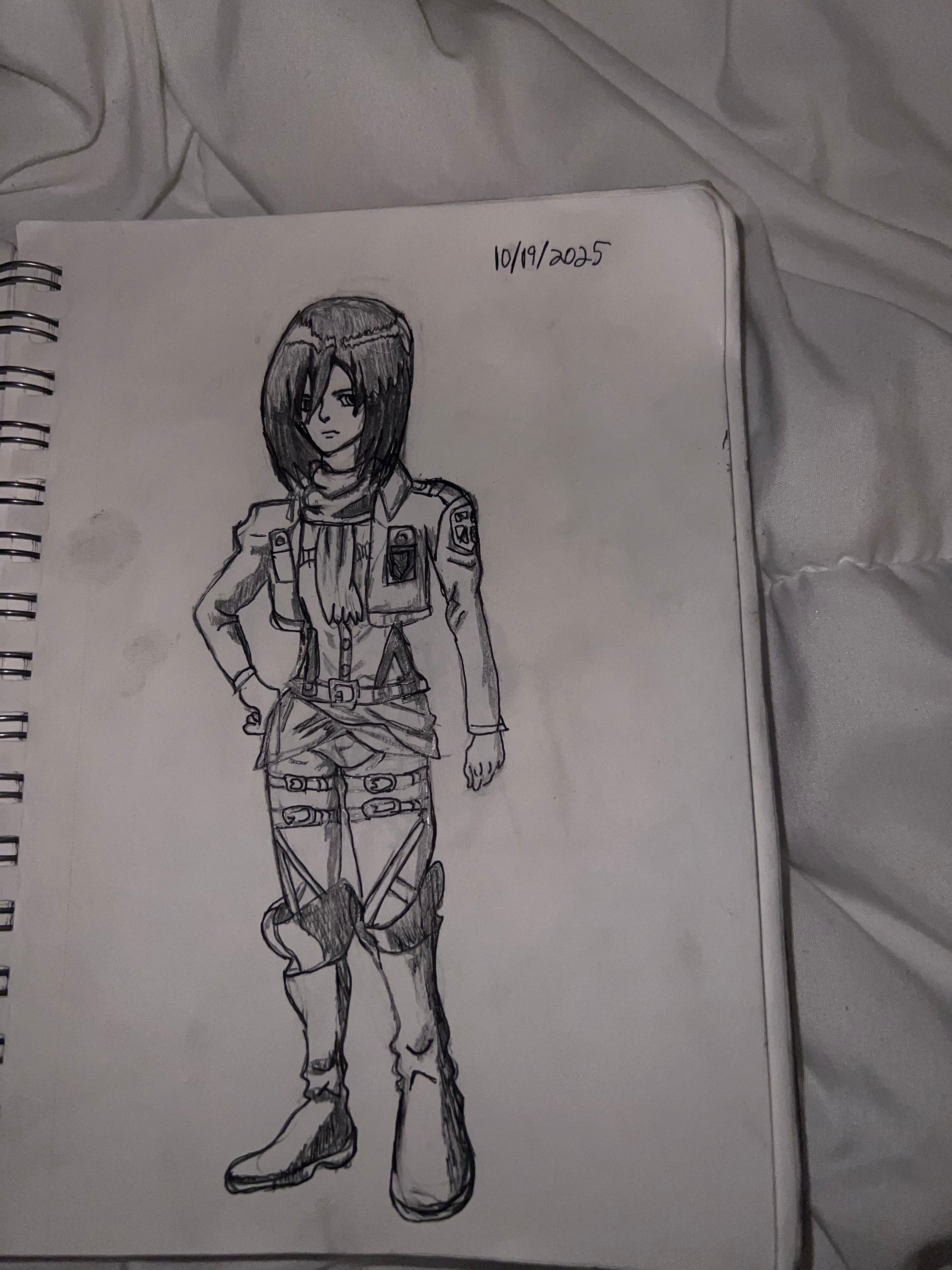 Mikasa Ackerman - Attack on Titan